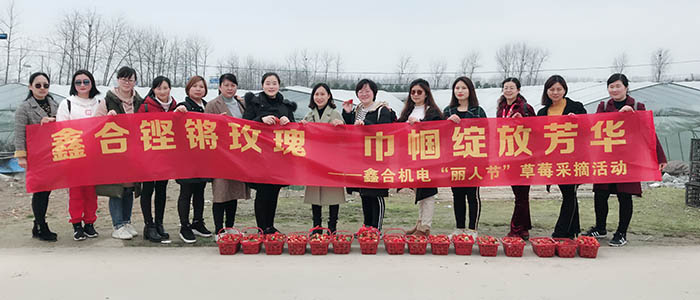 企業(yè)文化丨2019年草莓采摘 企業(yè)文化丨2019年草莓采摘